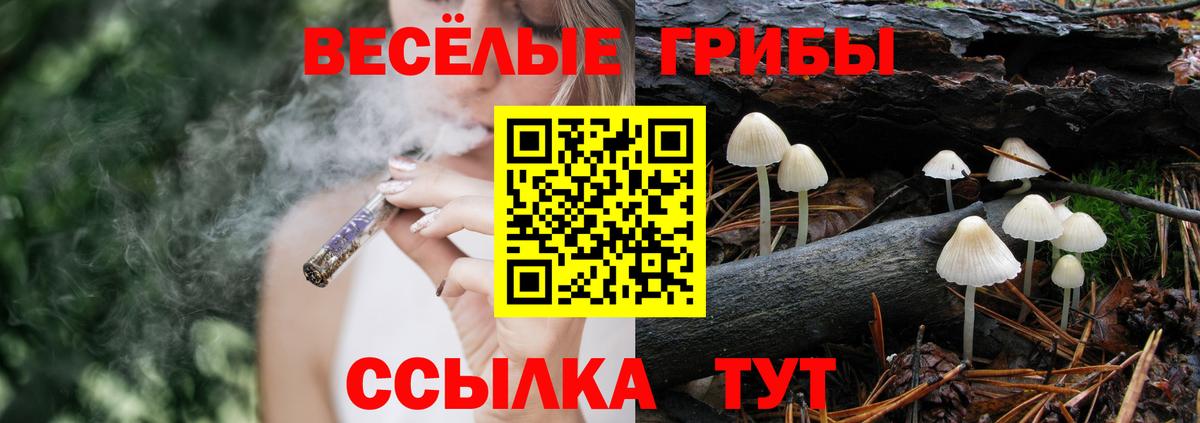 Галлюциногенные грибы мицелий Кропоткин